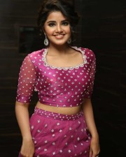 Actress Anupama Parameswaran At Rakshasudu Pre release Event Photos