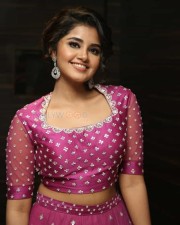 Actress Anupama Parameswaran At Rakshasudu Pre release Event Photos