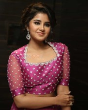 Actress Anupama Parameswaran At Rakshasudu Pre release Event Photos