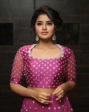 Actress Anupama Parameswaran At Rakshasudu Pre release Event Photos