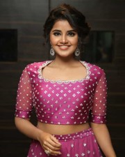 Actress Anupama Parameswaran At Rakshasudu Pre release Event Photos
