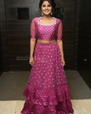 Actress Anupama Parameswaran At Rakshasudu Pre release Event Photos