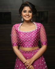 Actress Anupama Parameswaran At Rakshasudu Pre release Event Photos