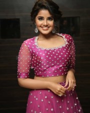 Actress Anupama Parameswaran At Rakshasudu Pre release Event Photos