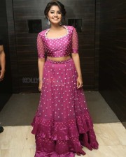 Actress Anupama Parameswaran At Rakshasudu Pre release Event Photos