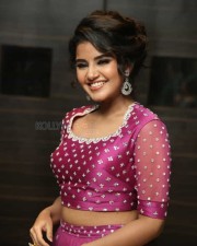 Actress Anupama Parameswaran At Rakshasudu Pre release Event Photos