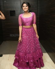 Actress Anupama Parameswaran At Rakshasudu Pre release Event Photos