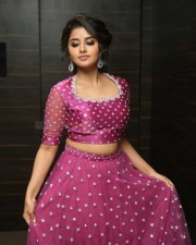 Actress Anupama Parameswaran At Rakshasudu Pre release Event Photos