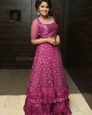 Actress Anupama Parameswaran At Rakshasudu Pre release Event Photos