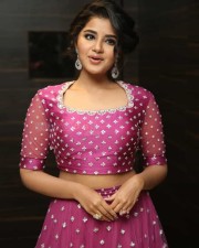 Actress Anupama Parameswaran At Rakshasudu Pre release Event Photos