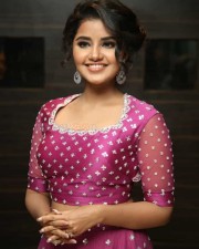 Actress Anupama Parameswaran At Rakshasudu Pre release Event Photos