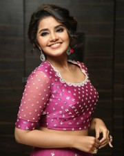 Actress Anupama Parameswaran At Rakshasudu Pre release Event Photos