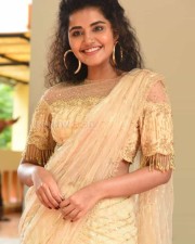 Actress Anupama Parameswaran At Rakshasudu Press Meet Photos