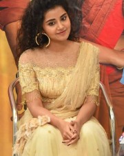 Actress Anupama Parameswaran At Rakshasudu Press Meet Photos