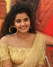 Actress Anupama Parameswaran At Rakshasudu Press Meet Photos