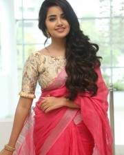 Actress Anupama Parameswaran Saree Pictures