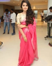 Actress Anupama Parameswaran Saree Pictures