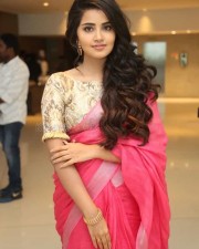 Actress Anupama Parameswaran Saree Pictures