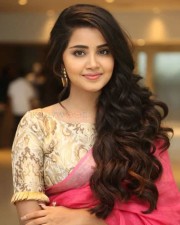 Actress Anupama Parameswaran Saree Pictures