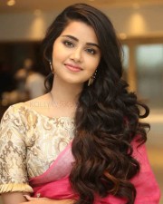 Actress Anupama Parameswaran Saree Pictures