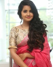 Actress Anupama Parameswaran Saree Pictures