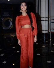 Actress Anupama Parameswaran at Karthikeya 2 Movie Trailer Launch Pictures 01