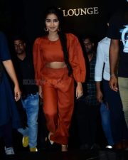 Actress Anupama Parameswaran at Karthikeya 2 Movie Trailer Launch Pictures 06