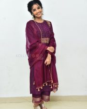 Actress Anupama Parameswaran at Paradha Press Meet Pictures 02
