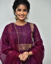 Actress Anupama Parameswaran at Paradha Press Meet Pictures 12