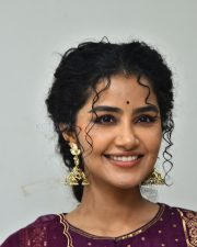 Actress Anupama Parameswaran at Paradha Press Meet Pictures 13
