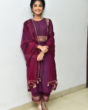 Actress Anupama Parameswaran at Paradha Press Meet Pictures 14