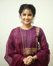 Actress Anupama Parameswaran at Paradha Press Meet Pictures 34