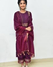 Actress Anupama Parameswaran at Paradha Press Meet Pictures 44