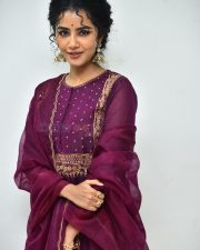 Actress Anupama Parameswaran at Paradha Press Meet Pictures 46