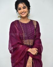 Actress Anupama Parameswaran at Paradha Press Meet Pictures 50