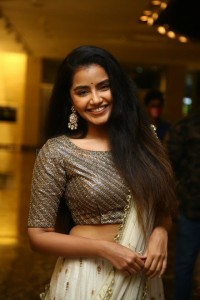 Actress Anupama Parameswaran at Rowdy Boys Movie Musical Event Photos 16