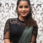 Actress Anupama Parameswaran at Rowdy Boys Movie Song Launch Photos 03 Actress Anupama Parameswaran at Rowdy Boys Movie Song Launch Photos 03
