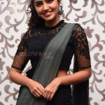 Actress Anupama Parameswaran at Rowdy Boys Movie Song Launch Photos 11 Actress Anupama Parameswaran at Rowdy Boys Movie Song Launch Photos 11