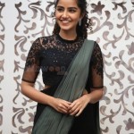 Actress Anupama Parameswaran at Rowdy Boys Movie Song Launch Photos 14 Actress Anupama Parameswaran at Rowdy Boys Movie Song Launch Photos 14