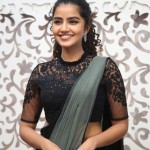 Actress Anupama Parameswaran at Rowdy Boys Movie Song Launch Photos 15 Actress Anupama Parameswaran at Rowdy Boys Movie Song Launch Photos 15