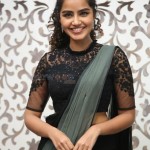Actress Anupama Parameswaran at Rowdy Boys Movie Song Launch Photos 16 Actress Anupama Parameswaran at Rowdy Boys Movie Song Launch Photos 16