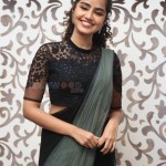 Actress Anupama Parameswaran at Rowdy Boys Movie Song Launch Photos 20 Actress Anupama Parameswaran at Rowdy Boys Movie Song Launch Photos 20
