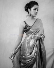 Actress Anupama Parameswaran in a Metallic Silver Grey Tissue Saree with a Contrasting Short Sleeveless Purple Blouse Photos 04