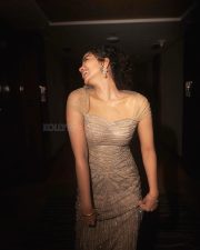 Actress Anupama Parameswaran in a Rose Champagne Gold Embroidered Gown Photos 08