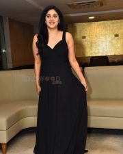 Actress Dhanya Balakrishna at Amaravathiki Aahwanam Movie Pre Release Event Photos 11