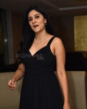 Actress Dhanya Balakrishna at Amaravathiki Aahwanam Movie Pre Release Event Photos 26