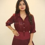 Kashmira Pardeshi 38 Actress Kashmira Paradesi At Atnartanasala Teaser Launch Photos