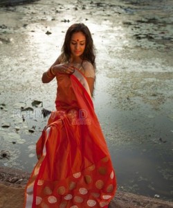 Actress Lakshmi Priyaa Photoshoot Pictures