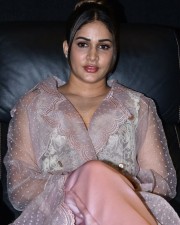 Actress Lavanya Tripathi at Happy Birthday Movie Trailer Launch Pictures 01