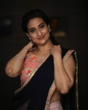 Actress Manjusha At Ninu Veedani Needanu Nene Pre Release Event Pictures